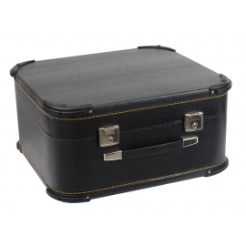 Alpenklang harmonica-/accordeonkoffer 48 bas - Luxus