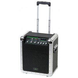 Pronomic PPA8M accubox met MP3-speler (22 Watt)