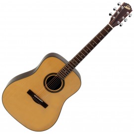 Levin W-32J Western gitaar