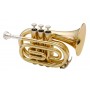 Classic Cantabile Brass TT-500 Bb-Taschentrompete _1