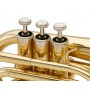 Classic Cantabile Brass TT-500 Bb-Taschentrompete _2